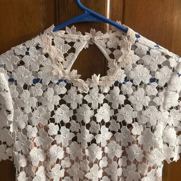 Stunning Lowry Dress By Jill Stuart Anthropologie BHLDN Collection Dress Size 6 - Picture 10 of 11